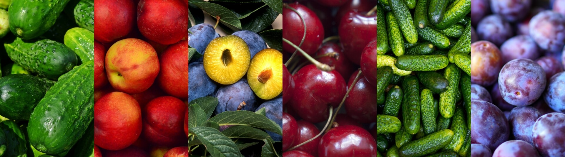 szamos-ker termékei